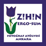 zihinergo-zihin_ergo_sum-amblem