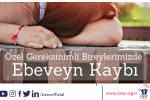 Web Site Görselleri Web Site Görselleri